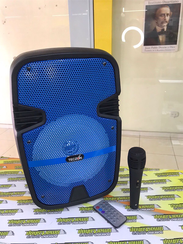 camaras y audio - Bocina Bluetooth de 8 pulgadas
