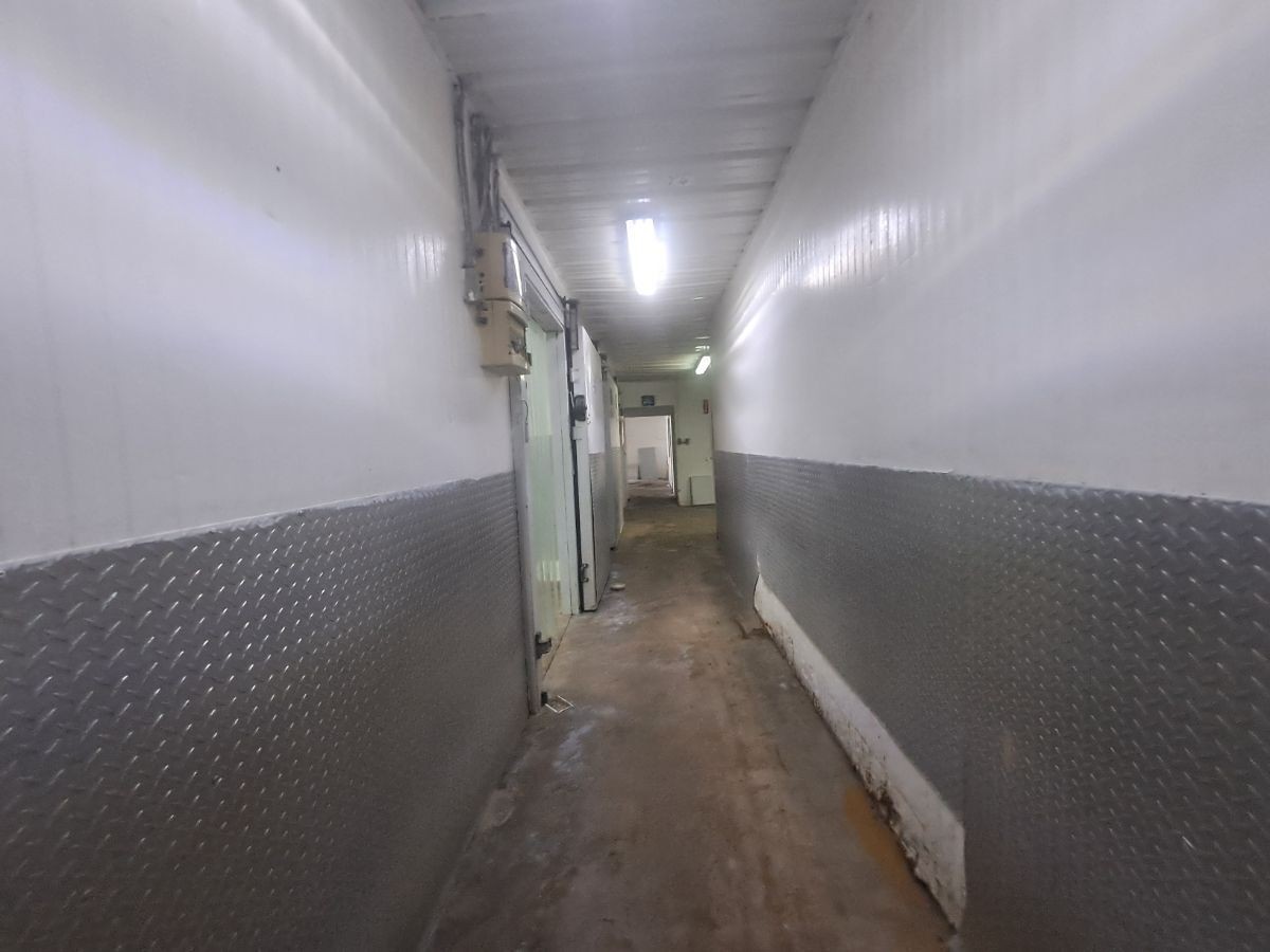 otros inmuebles - Alquilo Nave 1,200 mts con cuarto frio  en la Av. Monumental 
 6