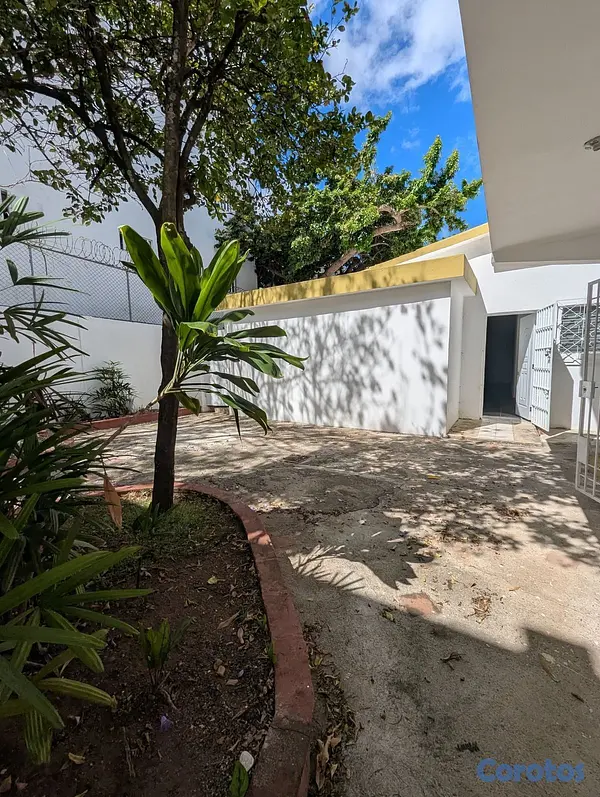 oficinas y locales comerciales - Local Comercial Para Alquiler Gazcue 5