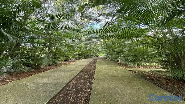 solares y terrenos - Venta de Terrenos KM 25 Autopista Duarte 3