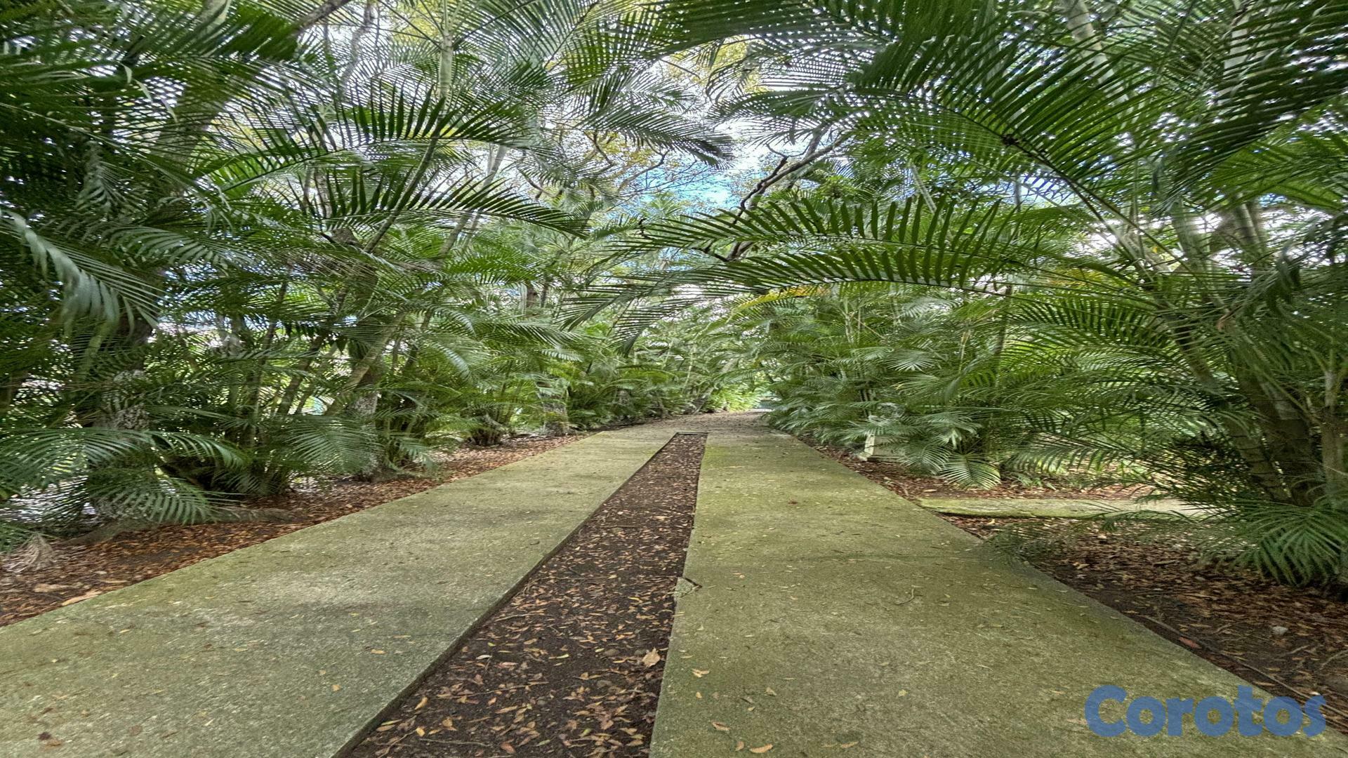 solares y terrenos - Venta de Terrenos KM 25 Autopista Duarte 3