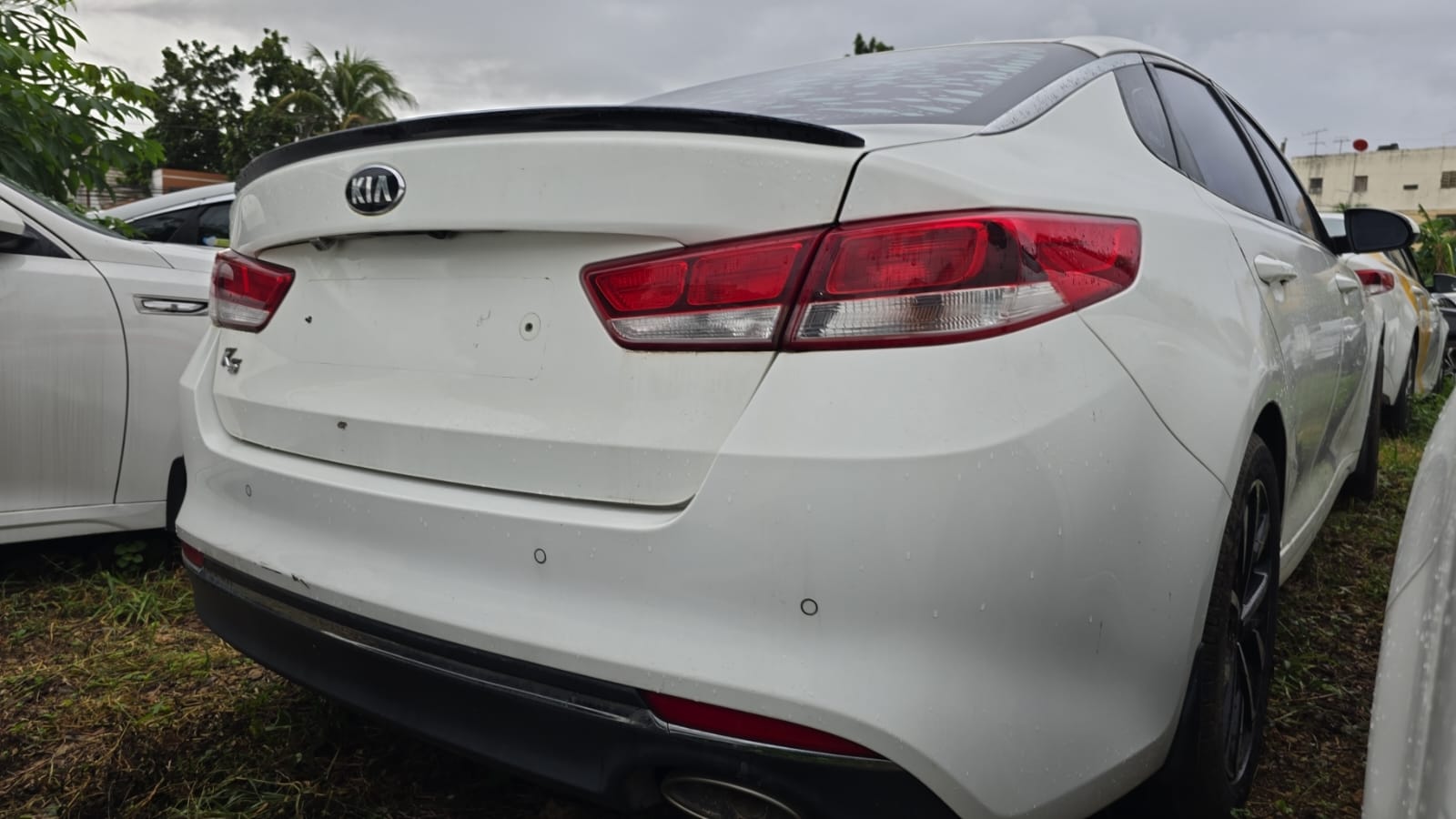 carros - Kia k-5 2019 blanco  3