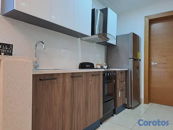 apartamentos - Alquiler de apartamento amueblado en Renacimiento 5