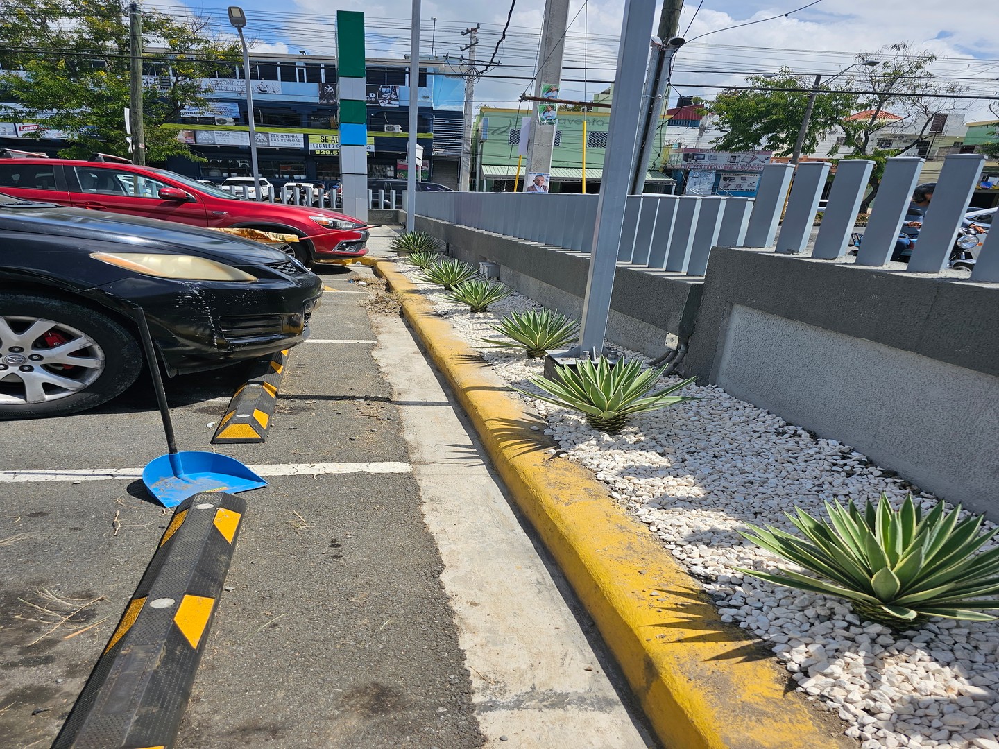 servicios profesionales - Servicios de jardineria 3