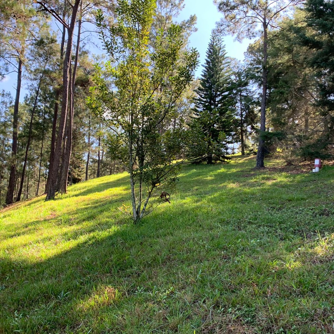 solares y terrenos - Terreno Disponible en Monte Bonito, Jarabacoa  1