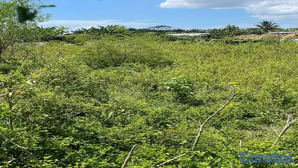 solares y terrenos - Terreno en venta Manoguayabo 7