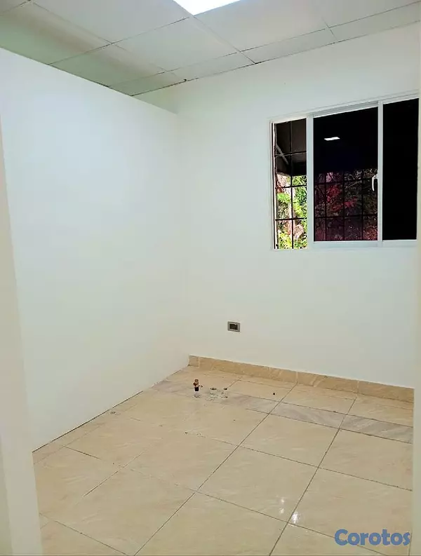 oficinas y locales comerciales - LOCAL COMERCIAL  8