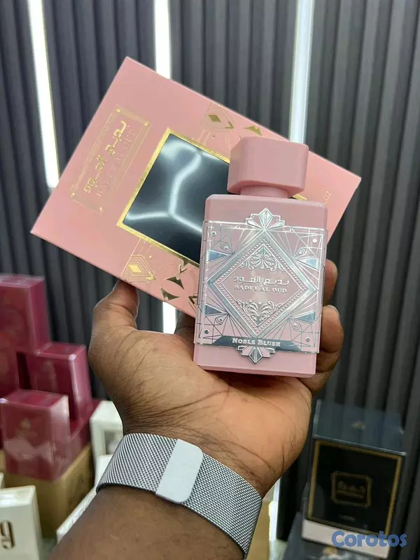 Otros productos - ofertas de perfumes 6 por 5400 13