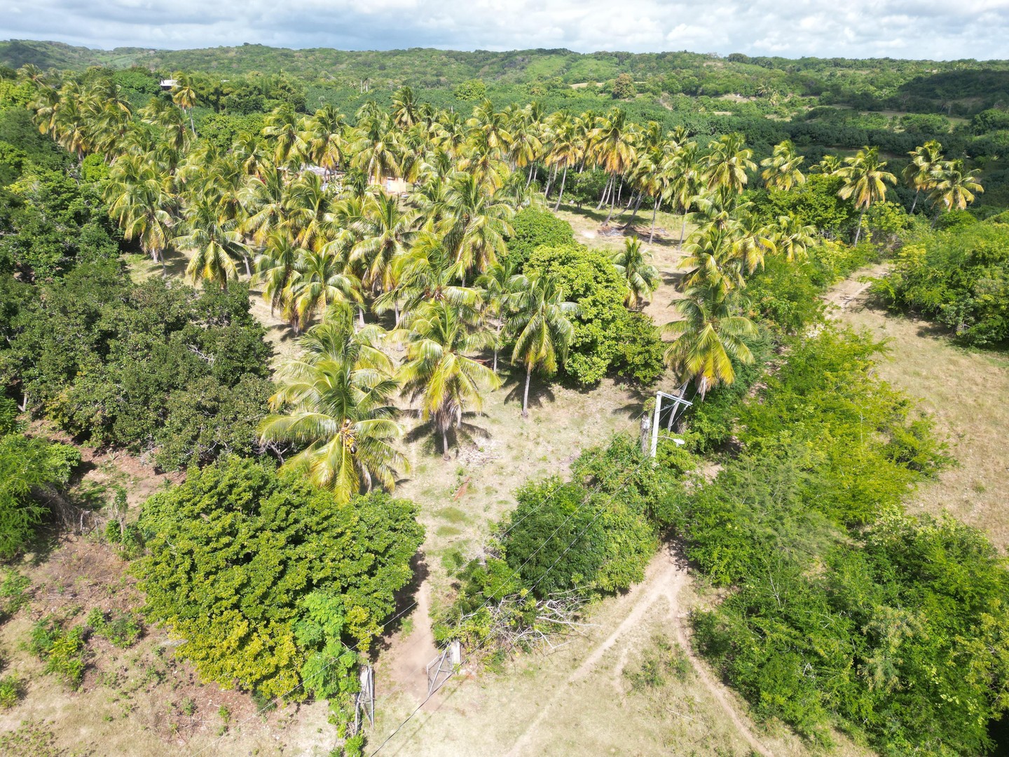 solares y terrenos - Terreno en Venta en Nizao, 16,017Mt2s Nizao, Peravia, Republica Dominicana 1