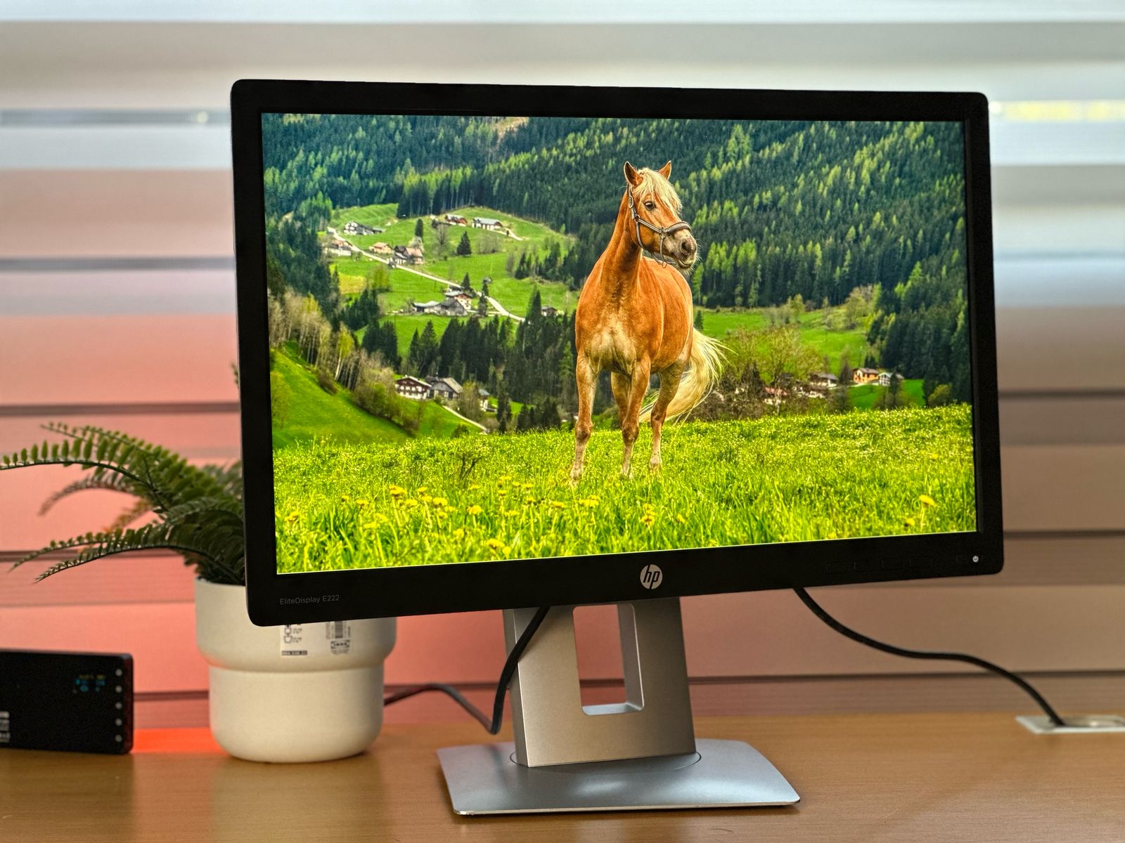 computadoras y laptops - Monitor HP 22 PLG HDMI IPS, E222