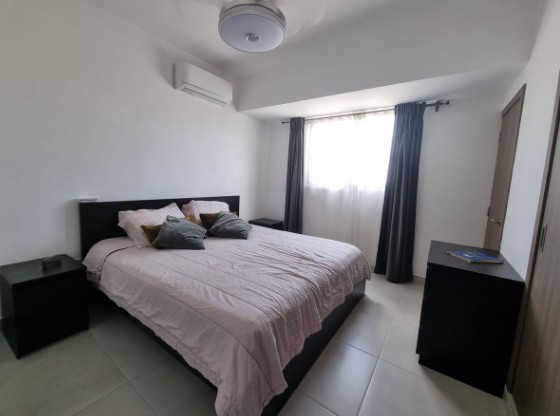 apartamentos - Alquiler de Apartamento en Naco Amueblado o con Linea Blanca 8