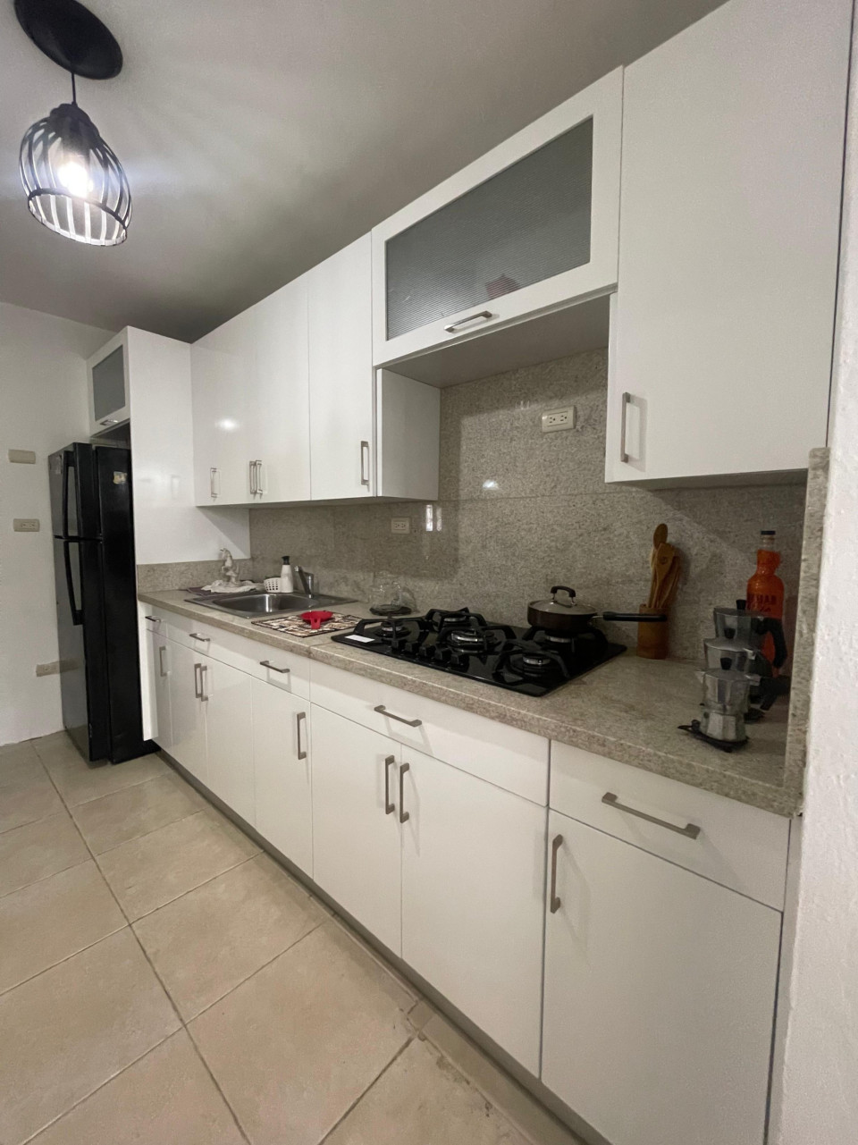 casas - Apartamento en LAS DIANAS SANTIAGO 9