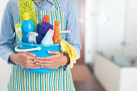 servicios profesionales - Limpieza de hogar a Domicilio  1