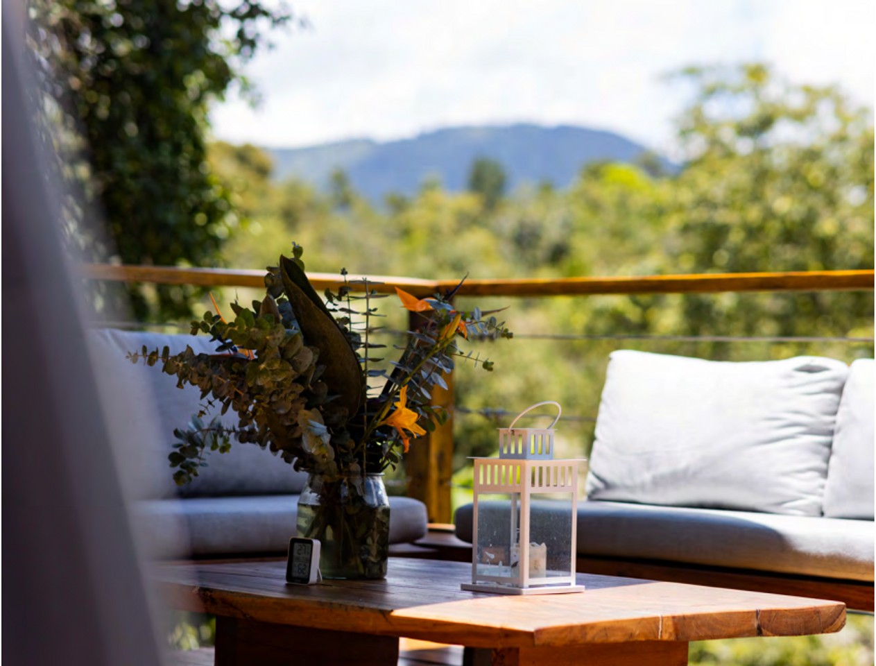 solares y terrenos - Solar en venta en las montañas Constanza 2