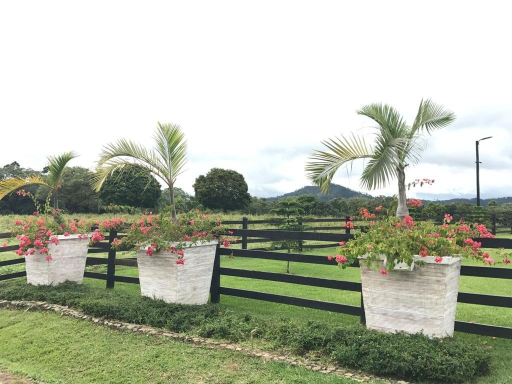 casas vacacionales y villas - VILLA FORTUNA, JARABACOA  9