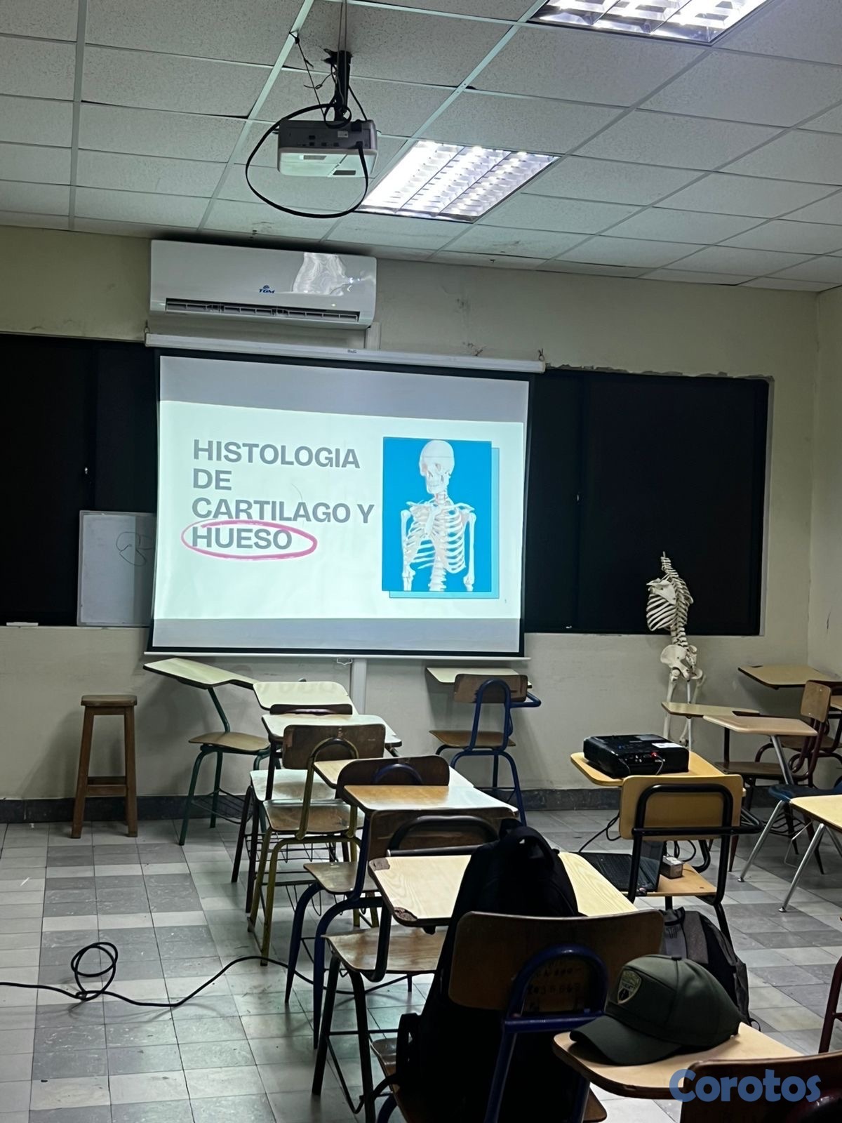 otros electronicos - Proyector, pantalla, bocina, micrófonos para taller o eventos en alquiler 2