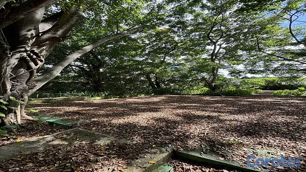 solares y terrenos - Venta de Terrenos KM 25 Autopista Duarte 5