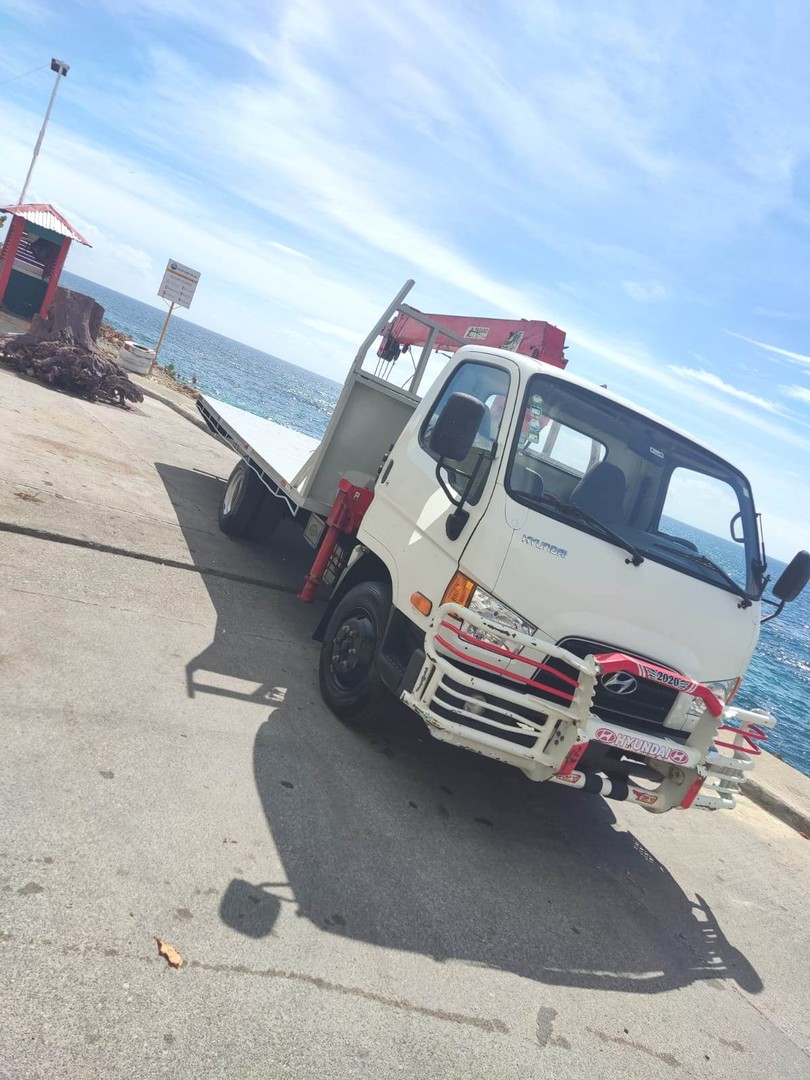 camiones y vehiculos pesados - HYUNDAI HD78 2018 CON GRÚA ÚNICO DUEÑO IMPECABLE  2