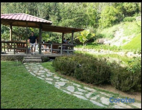 solares y terrenos - Solar en venta en Constanza ideal para cabañas 1