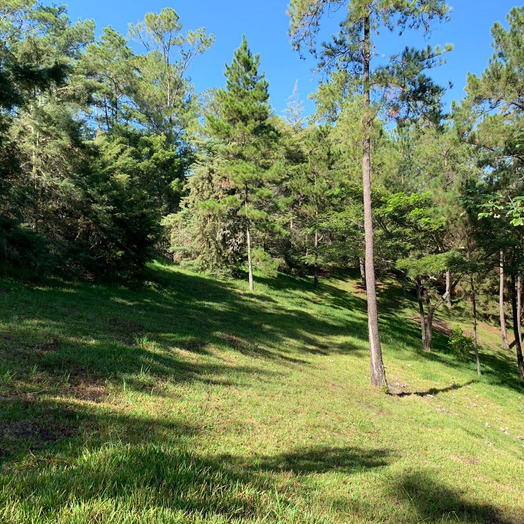 solares y terrenos - Terreno Disponible en Monte Bonito, Jarabacoa  3