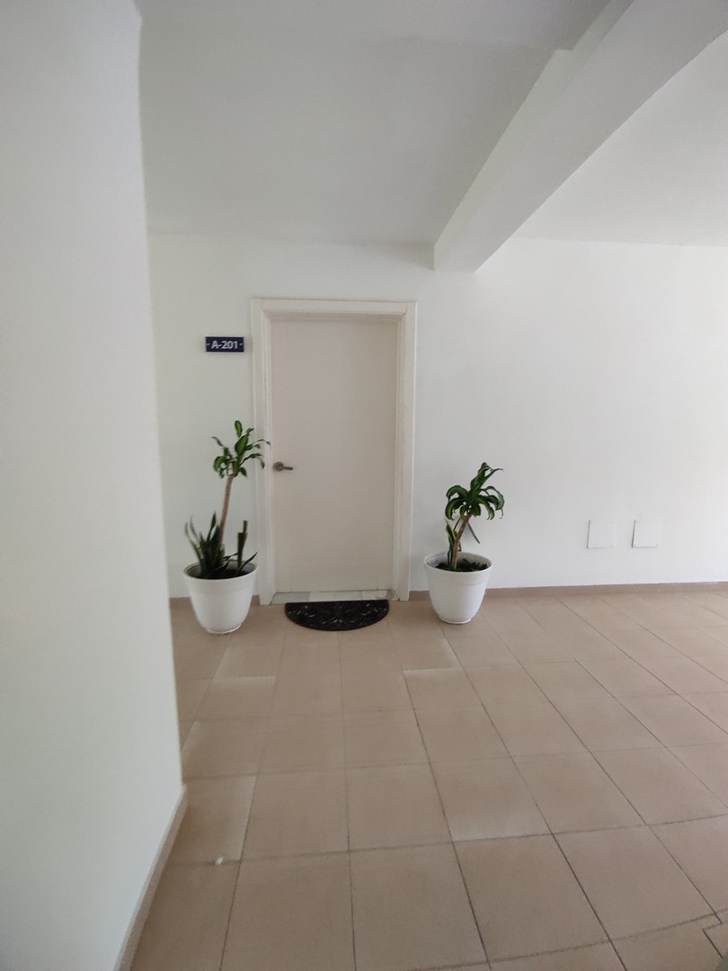 apartamentos - Amueblado En Playa Nueva! 8