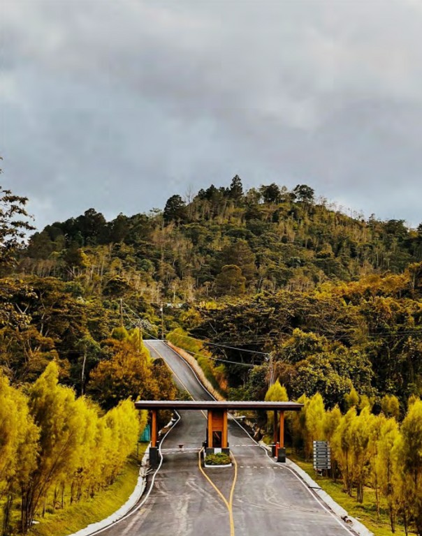 solares y terrenos - Solar en venta en las montañas Constanza