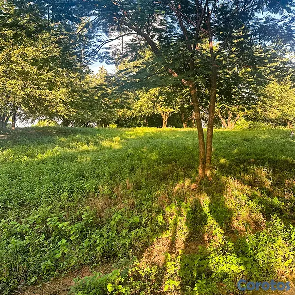 solares y terrenos - Solar en venta próximo a la playa en Samana  4