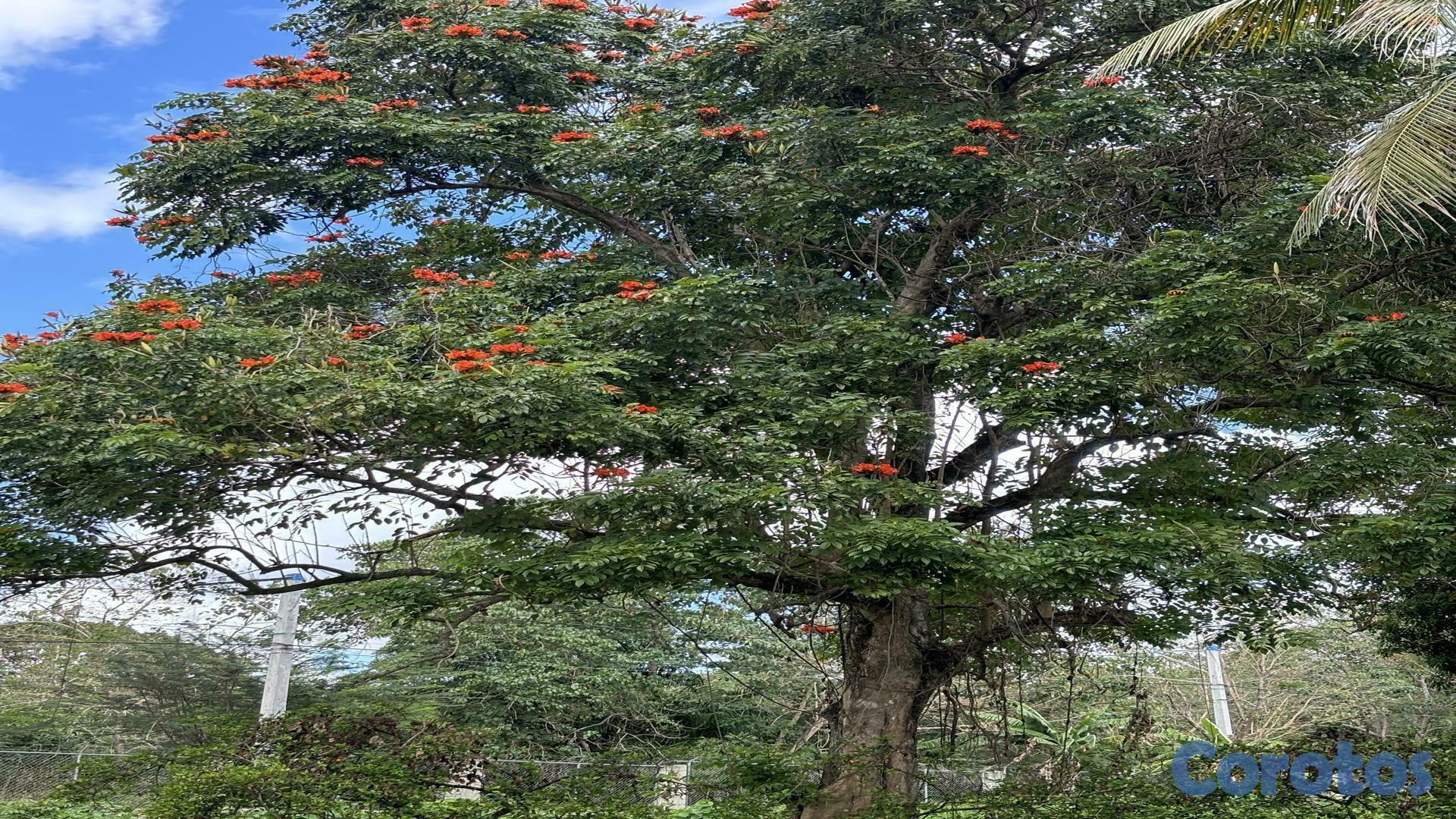 solares y terrenos - Venta de Terrenos KM 25 Autopista Duarte 6