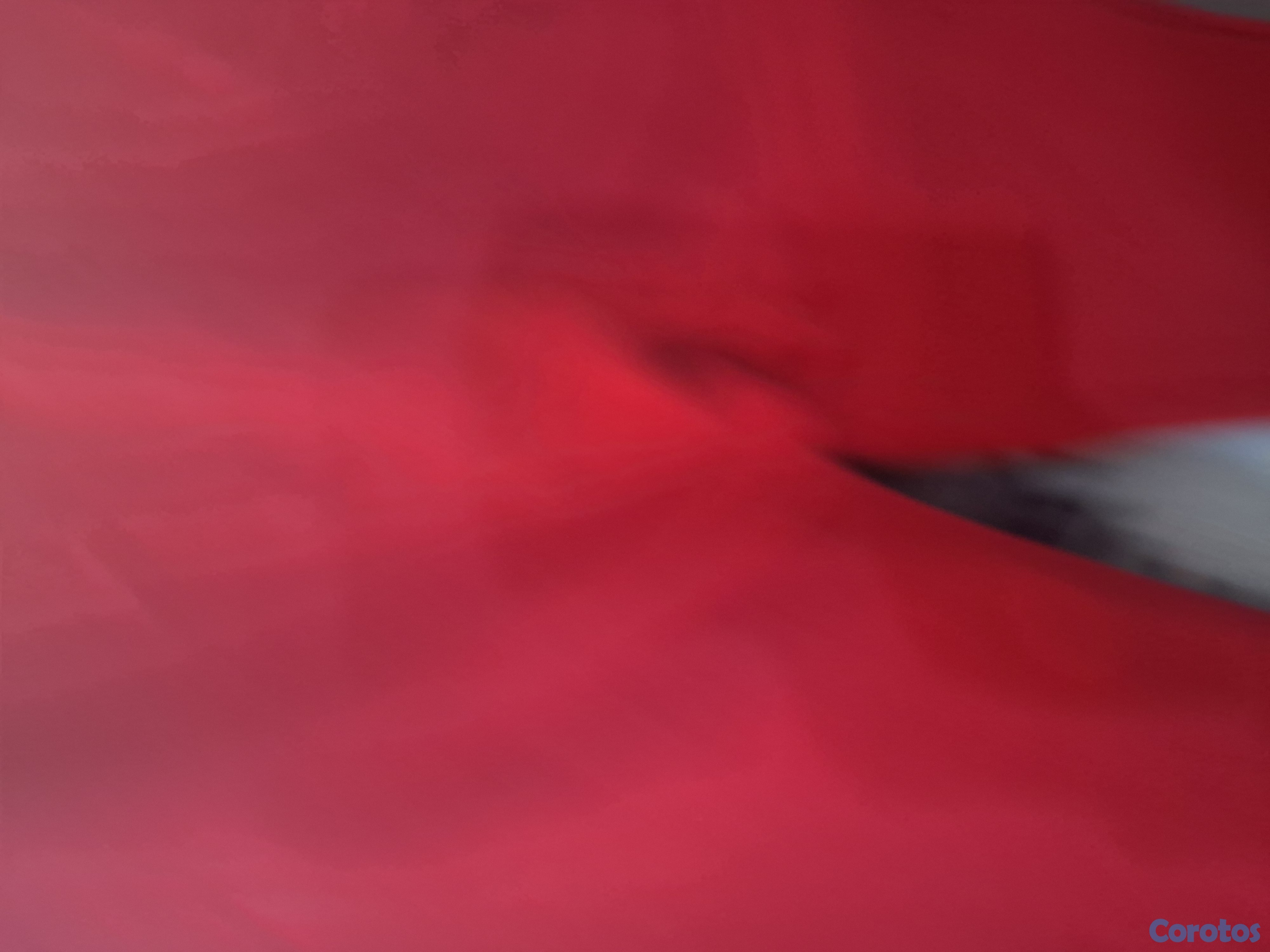 Artículos Deportivos - Clavos de baseball/softball y ropa deportiva  5