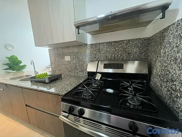 apartamentos - Apartamento en Alquiler en Naco Amueblado de UNA H 7