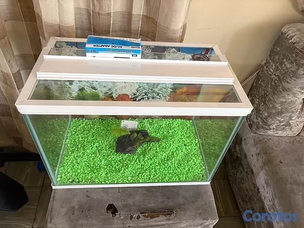 negocios en venta - Pecera de 13 galones  3
