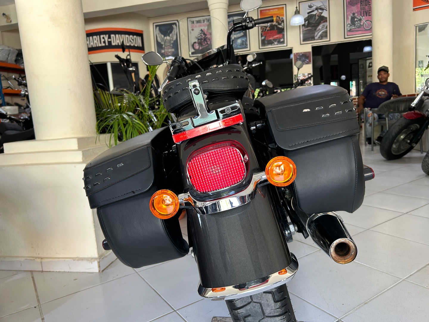 motores y pasolas - Harley Davidson Heritage 114 año 2019 5