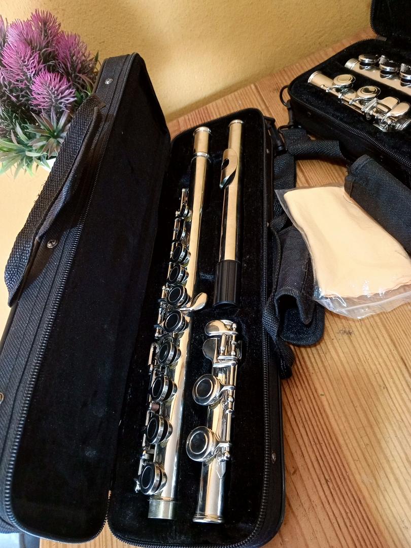 instrumentos musicales - Flauta transversa 2