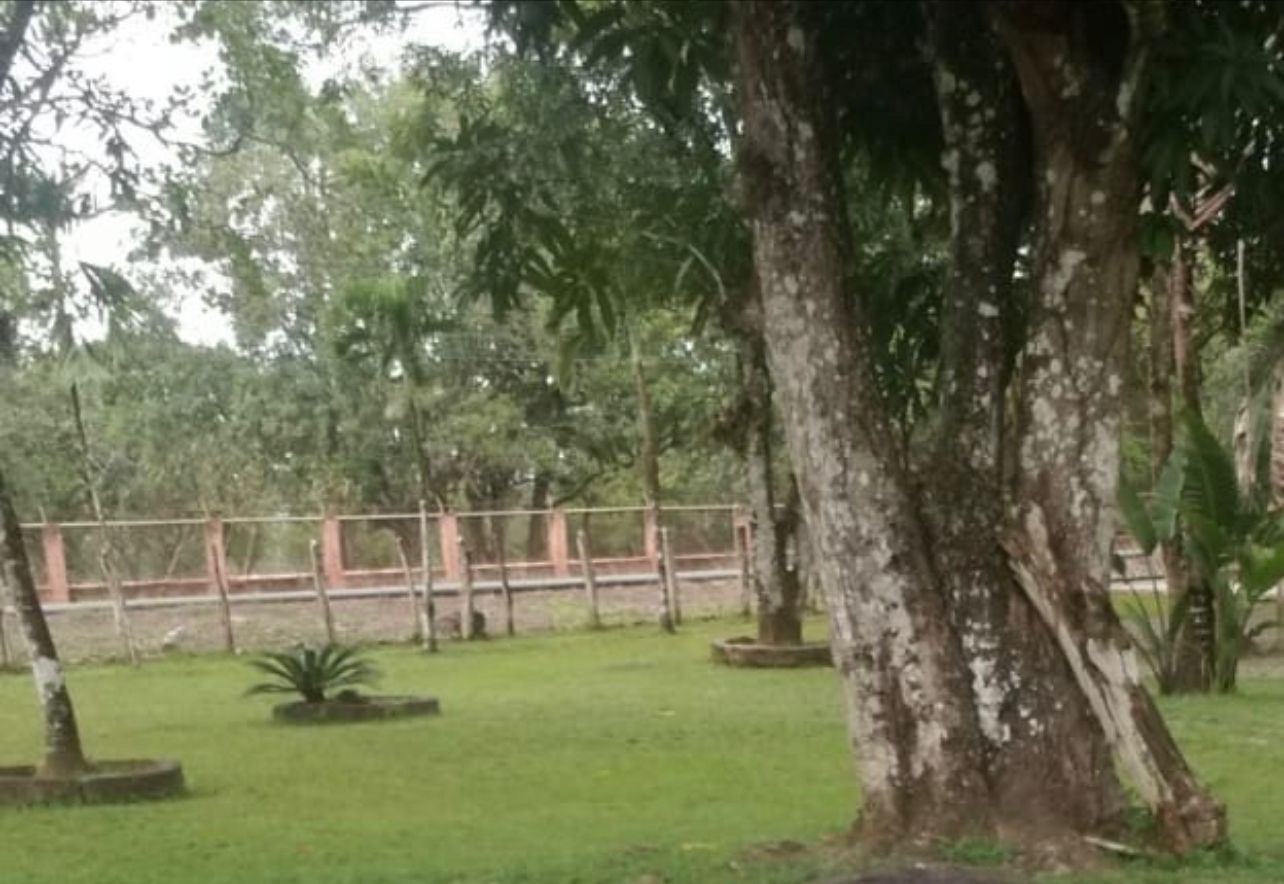 solares y terrenos - venta de Finca en guerra con 145 tareas República Dominicana  3