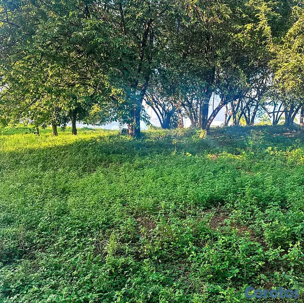solares y terrenos - Solar en venta próximo a la playa en Samana  5