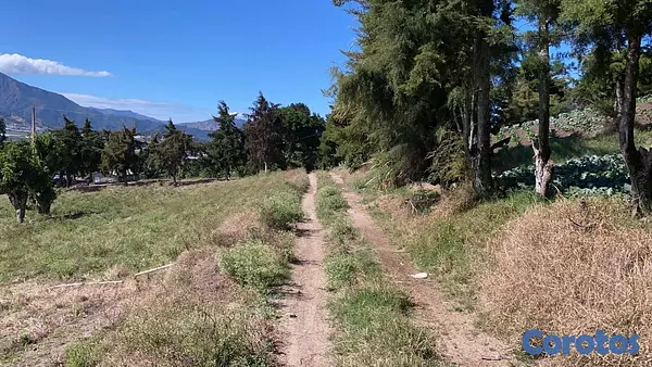 solares y terrenos - Solar Constanza uso varios desde 980 mts  2