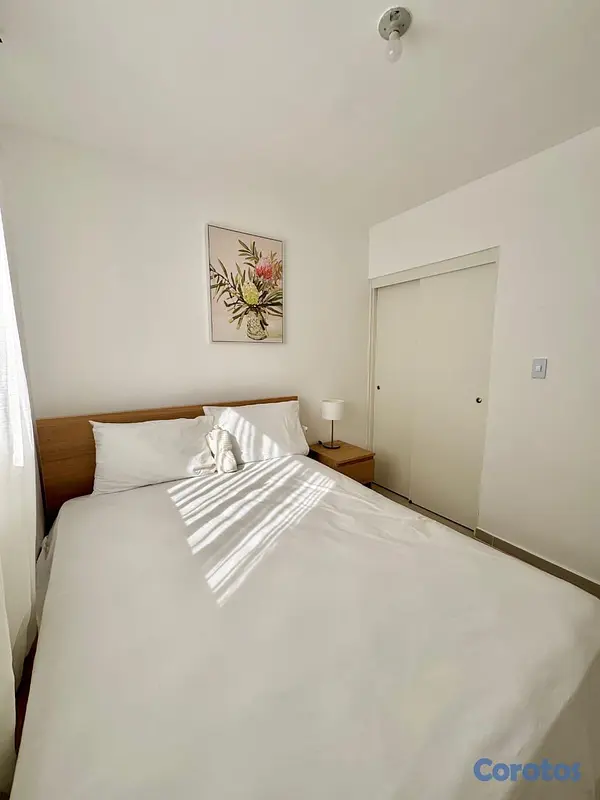 apartamentos - COMODOS APARTAMENTOS  6