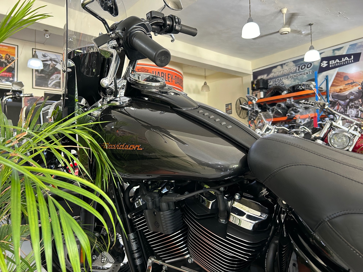 motores y pasolas - Harley Davidson Heritage 114 año 2019 7