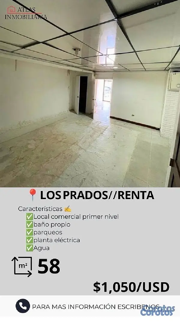 oficinas y locales comerciales - se alquila local  2