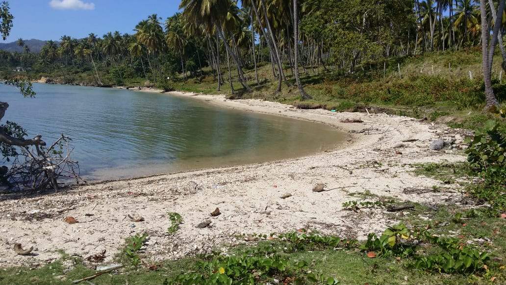 solares y terrenos - terreno en Samaná, zona turística de playa