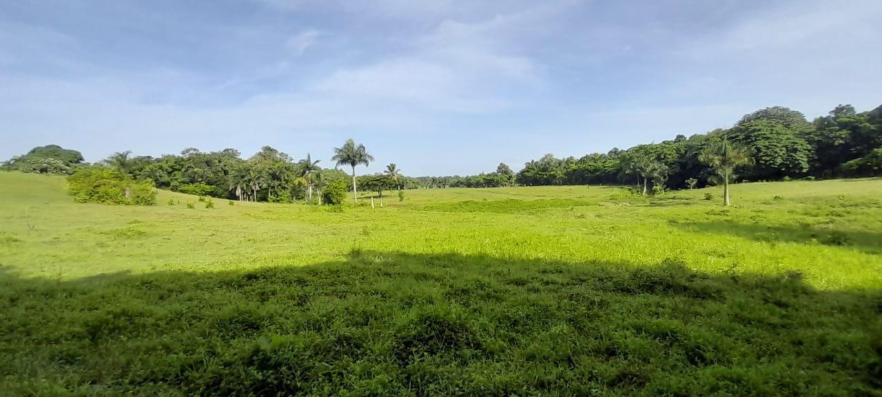 solares y terrenos - Vendo terrenos en Carretera la Isabela