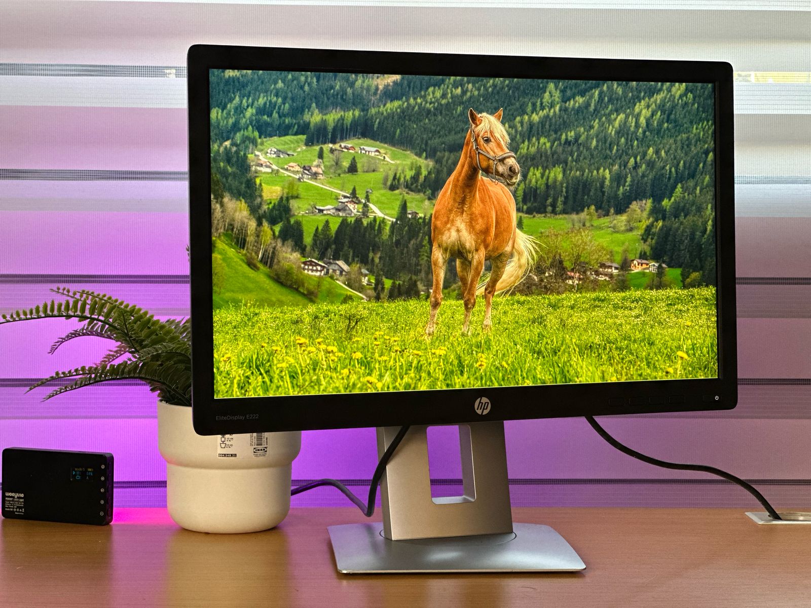 computadoras y laptops - Monitor HP 22 PLG HDMI IPS, E222 1