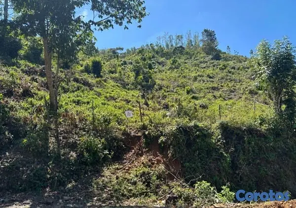 solares y terrenos - Finca en Venta Rancho Arriba  4