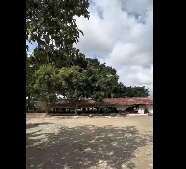solares y terrenos - Finca 571 Tareas en Maguey, Villa Tapia 1