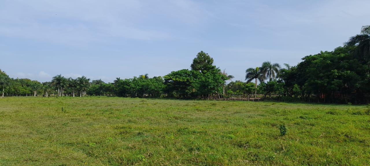solares y terrenos - Vendo terrenos en Carretera la Isabela 1