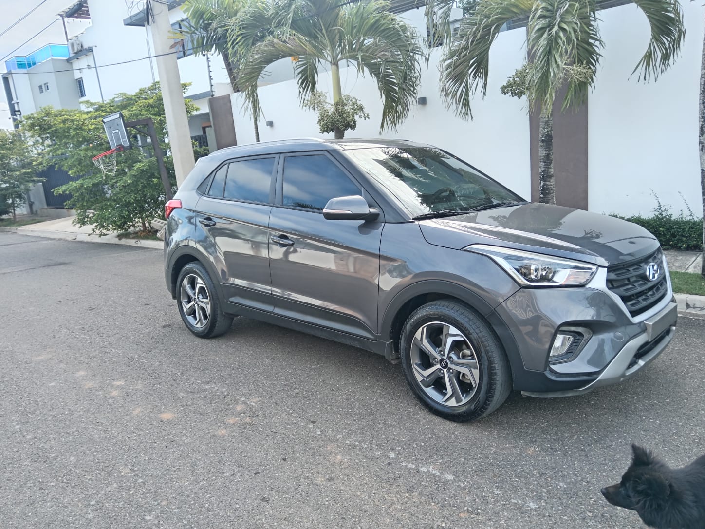 jeepetas y camionetas - hiunday cantus 2020 1