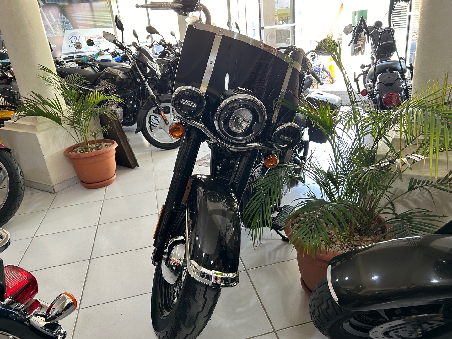 motores y pasolas - Harley Davidson Heritage 114 año 2019 9