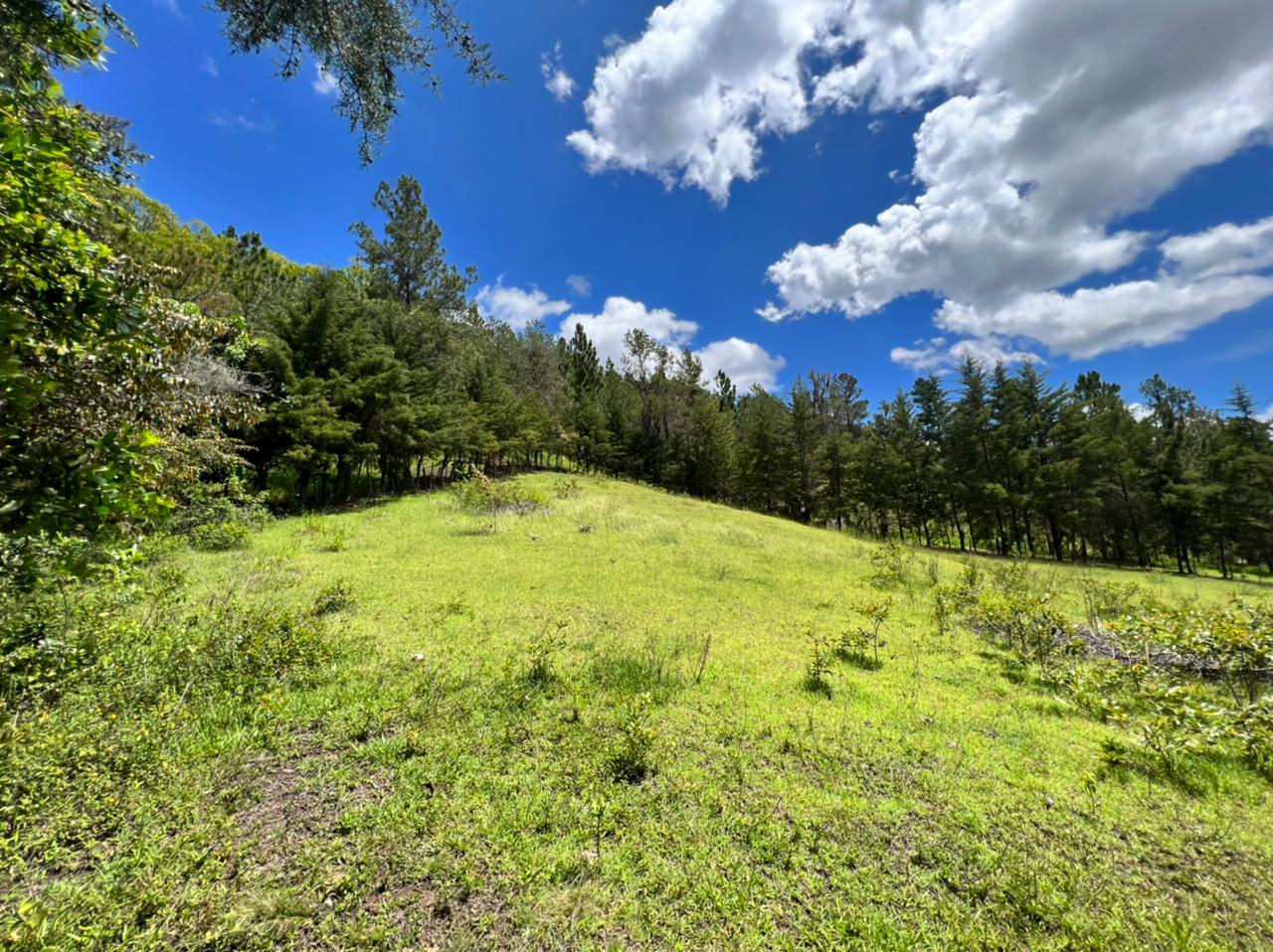 solares y terrenos - Vendo en Constanza varios terrenos 5