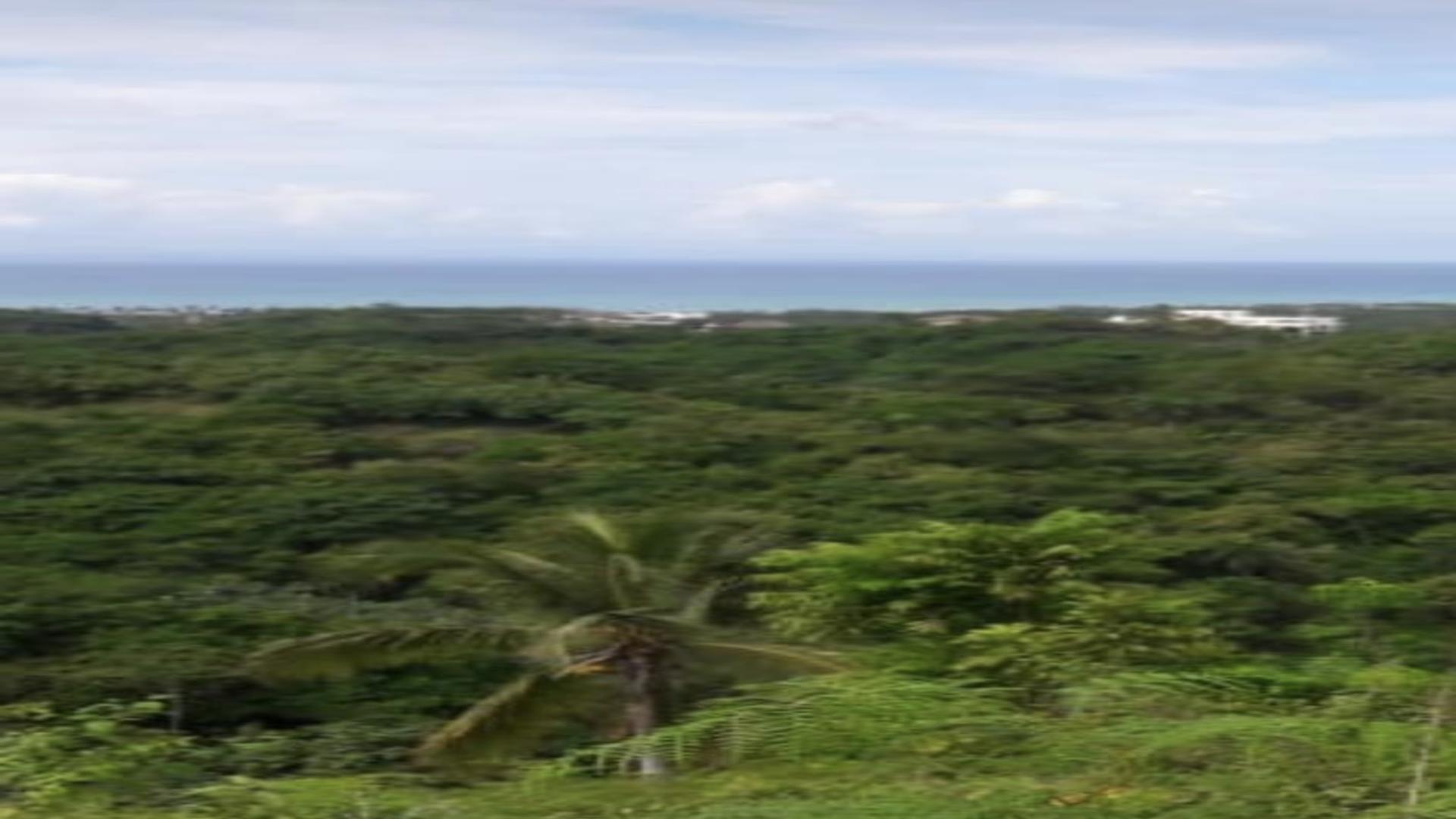 solares y terrenos - Terrenos en Las Terrenas 4