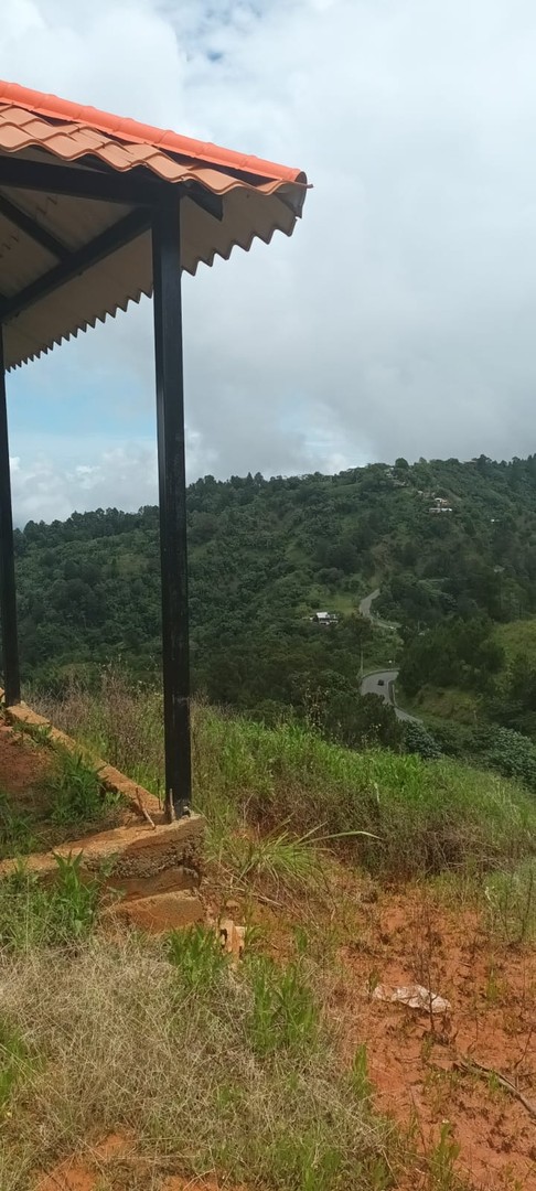solares y terrenos - Venta Terreno en montañas de Jarabacoa con vista espectacular 360° de la ciudad 7